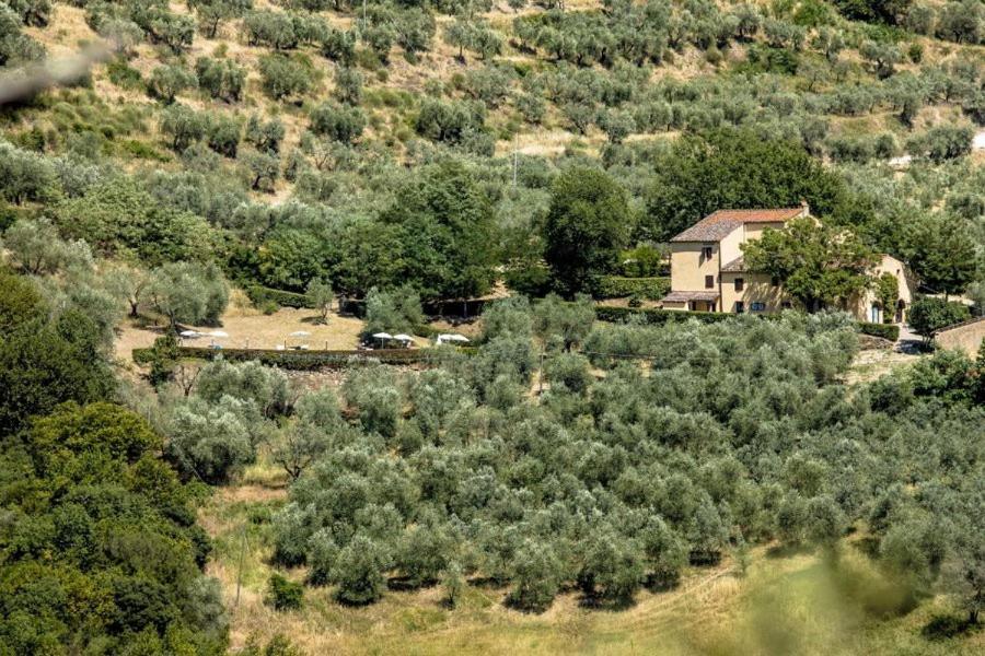 Agriturismo Il Giardino Понтассьеве Экстерьер фото